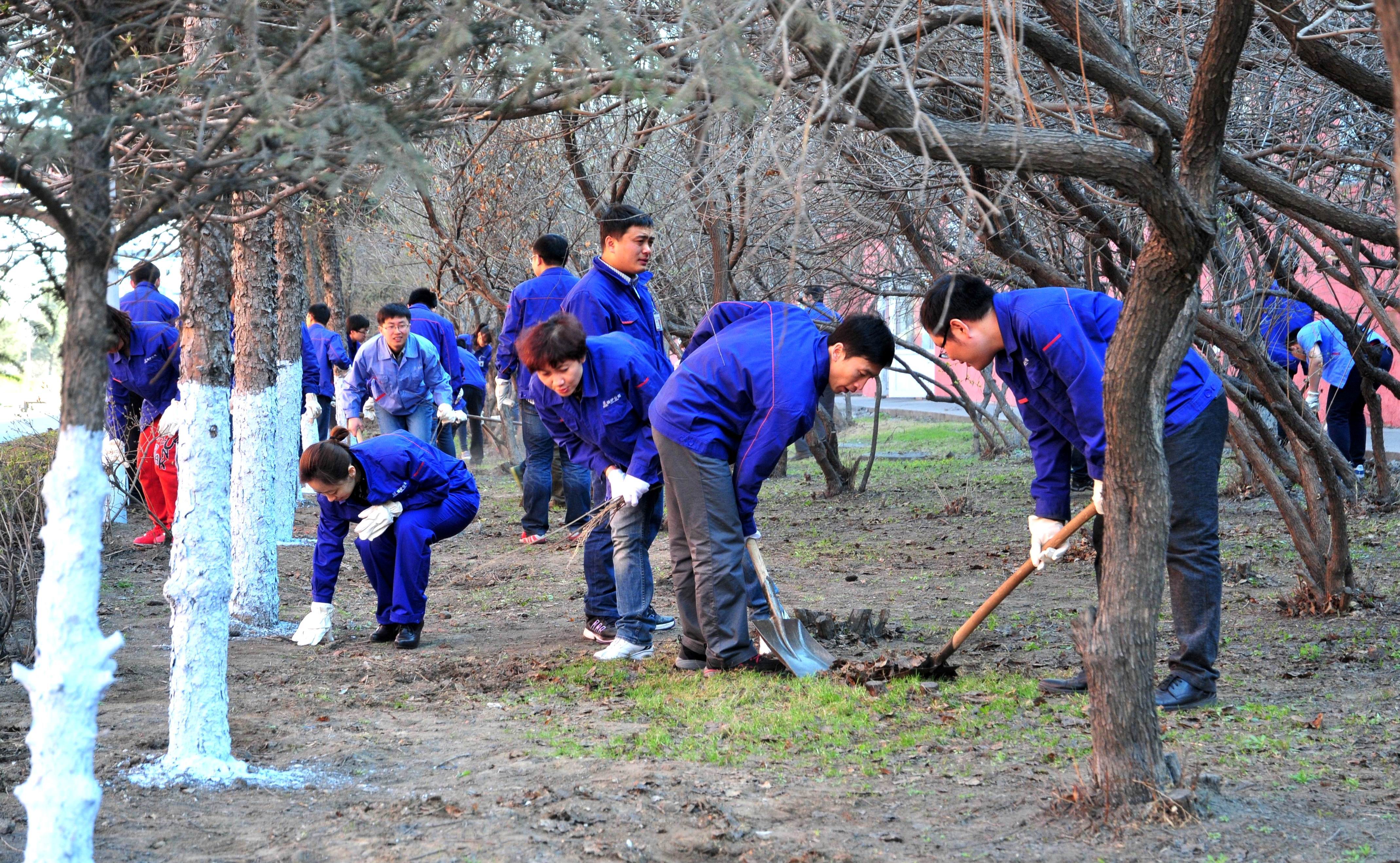 ƽ����(pinnacle)�ٷ���վ