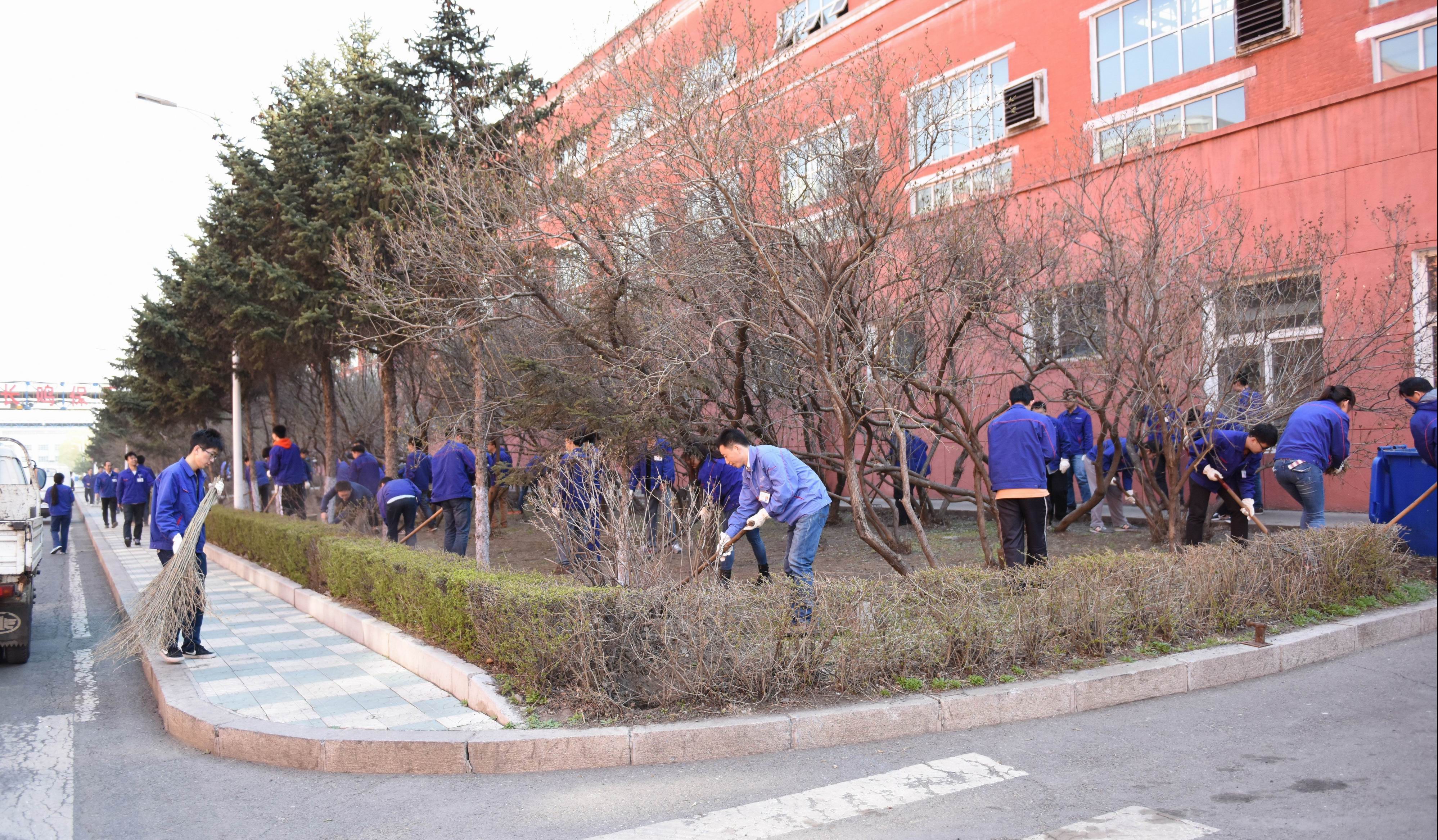 ƽ����(pinnacle)�ٷ���վ