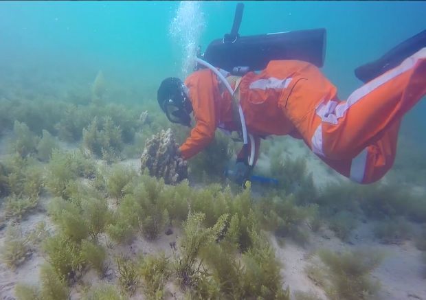 ƽ����(pinnacle)�ٷ���վ