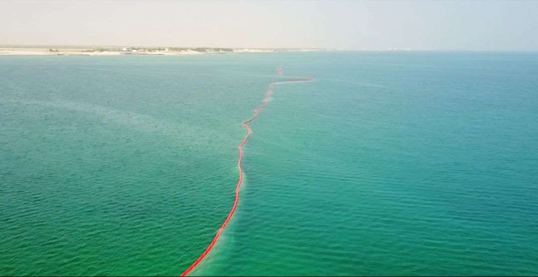 ƽ����(pinnacle)�ٷ���վ