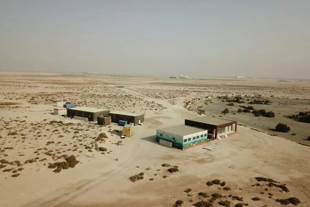 ƽ����(pinnacle)�ٷ���վ