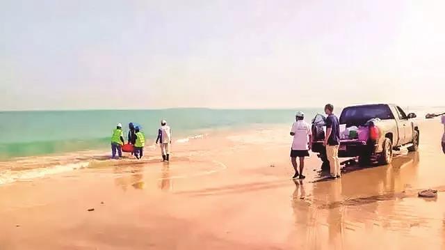 ƽ����(pinnacle)�ٷ���վ