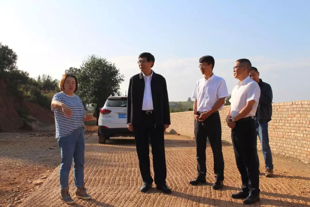 ƽ����(pinnacle)�ٷ���վ