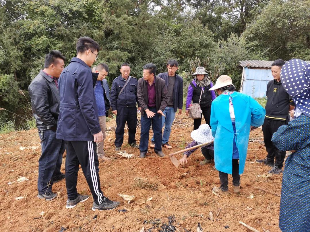 ƽ����(pinnacle)�ٷ���վ