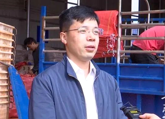 ƽ����(pinnacle)�ٷ���վ