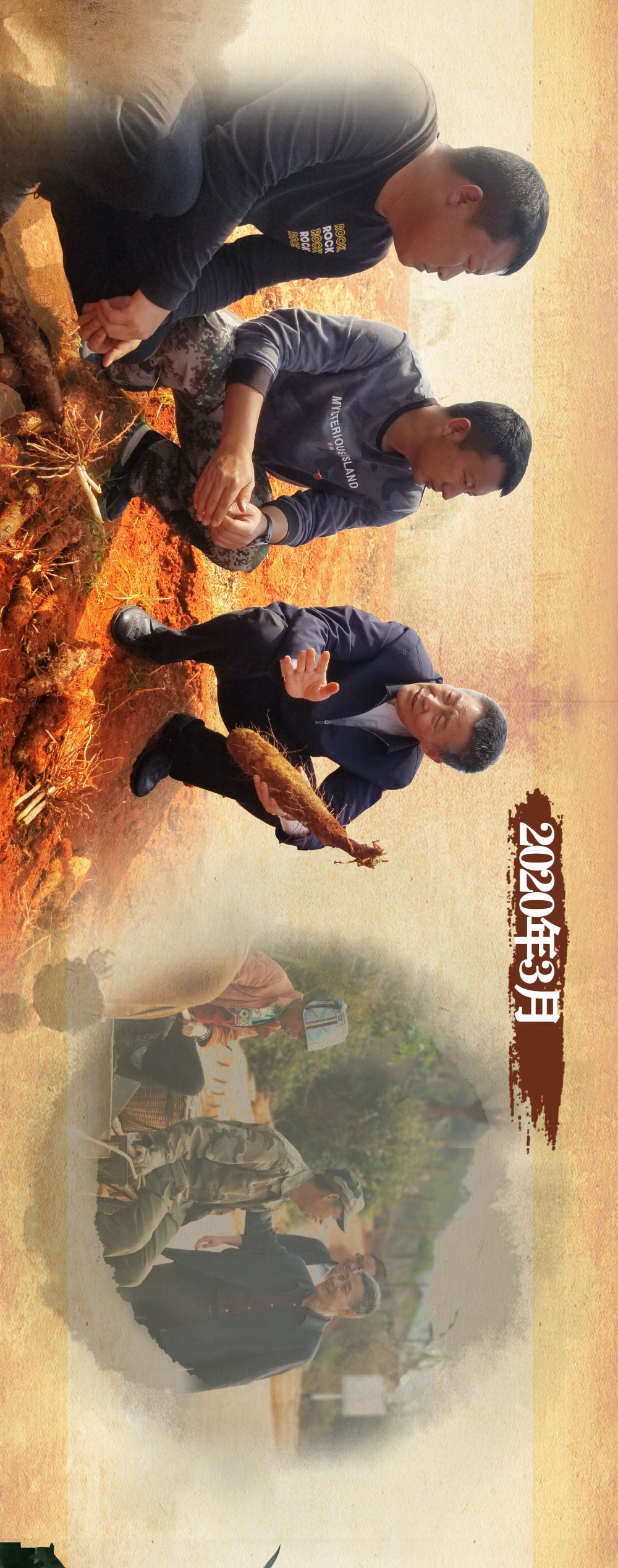 ƽ����(pinnacle)�ٷ���վ