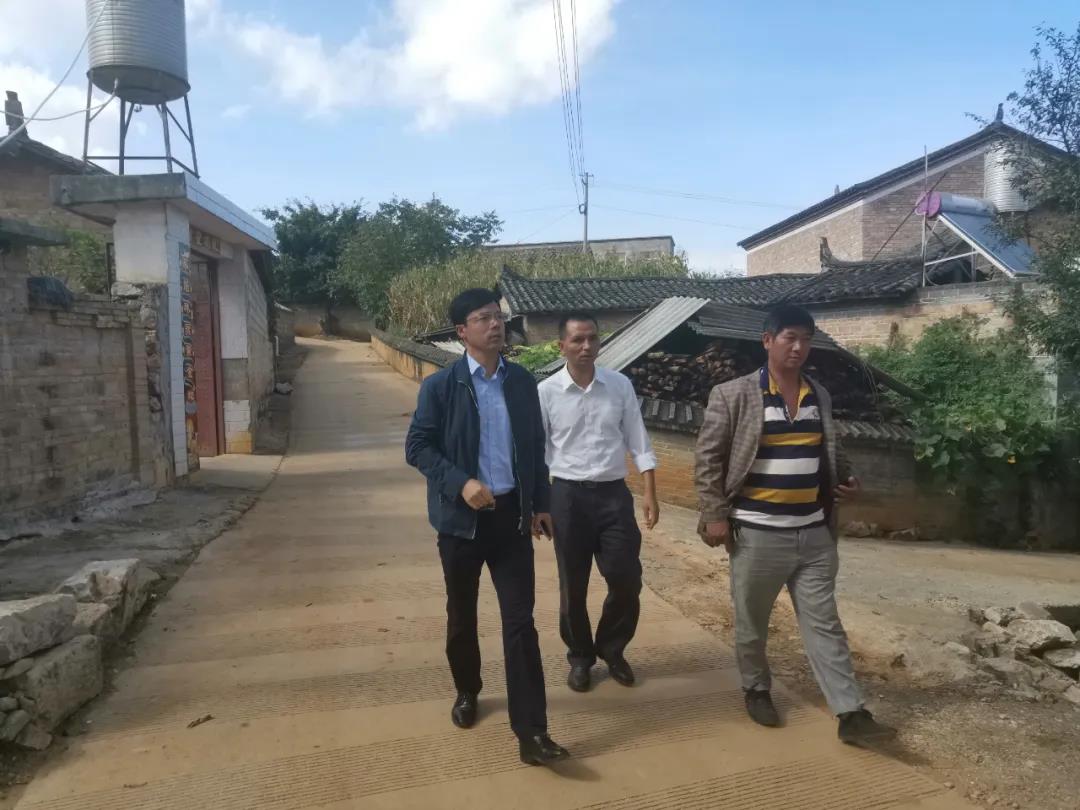 ƽ����(pinnacle)�ٷ���վ