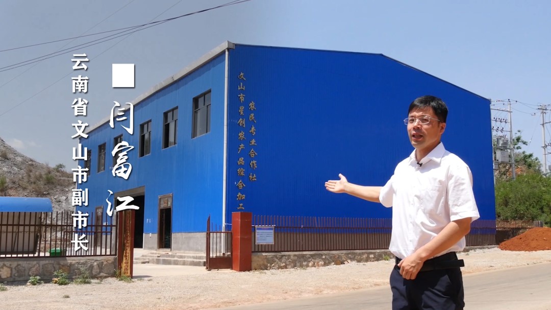 ƽ����(pinnacle)�ٷ���վ