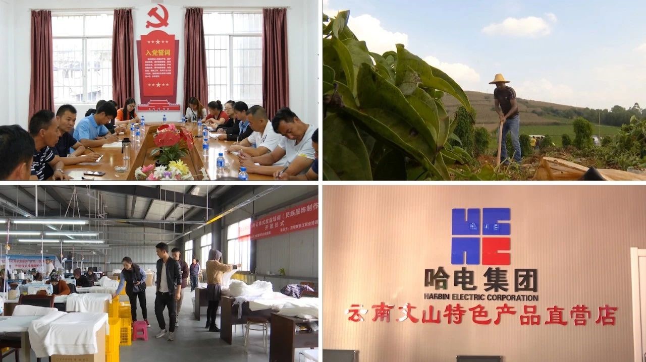 ƽ����(pinnacle)�ٷ���վ