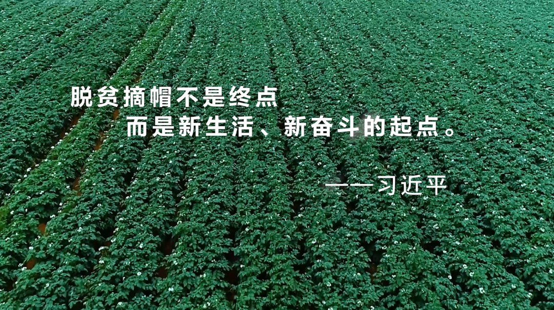 ƽ����(pinnacle)�ٷ���վ