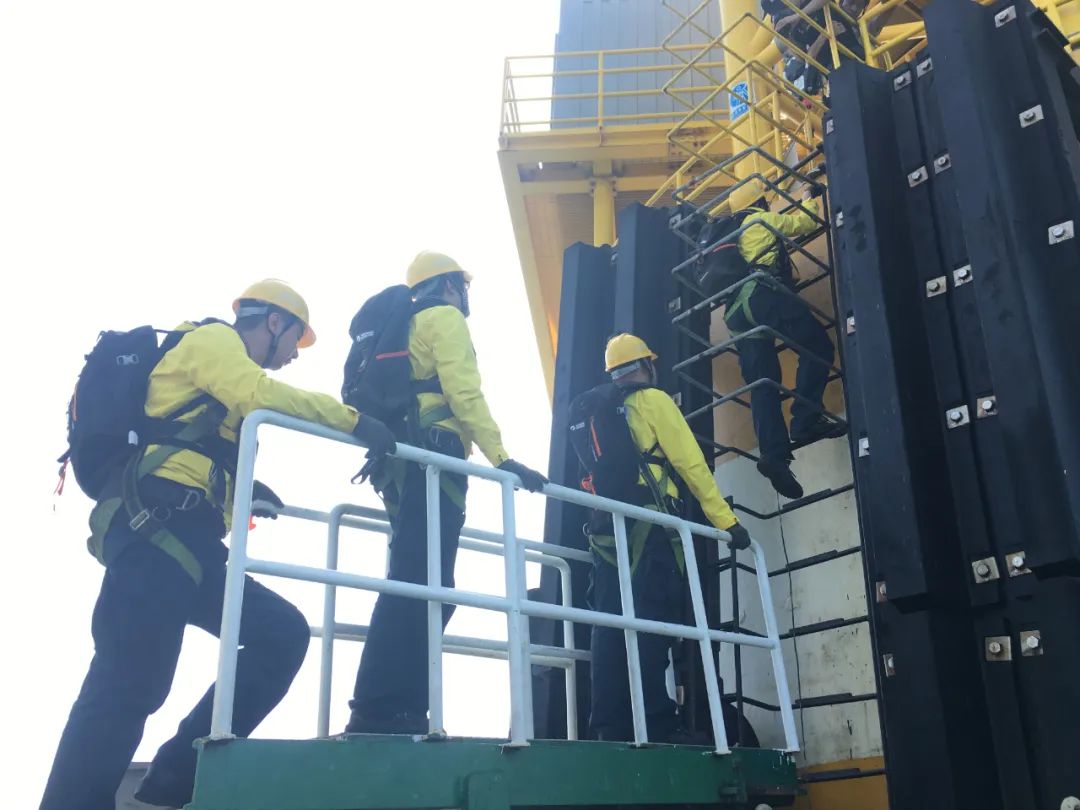 ƽ����(pinnacle)�ٷ���վ