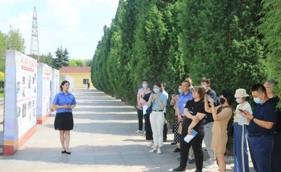 ƽ����(pinnacle)�ٷ���վ