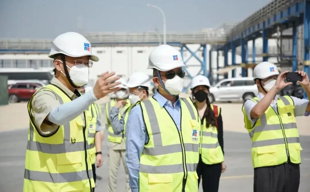 ƽ����(pinnacle)�ٷ���վ