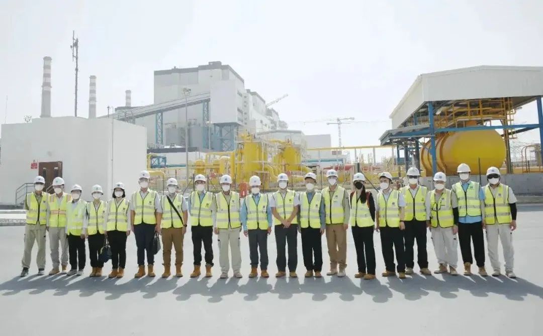 ƽ����(pinnacle)�ٷ���վ