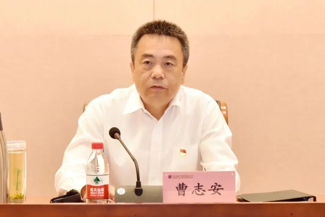 ƽ����(pinnacle)�ٷ���վ