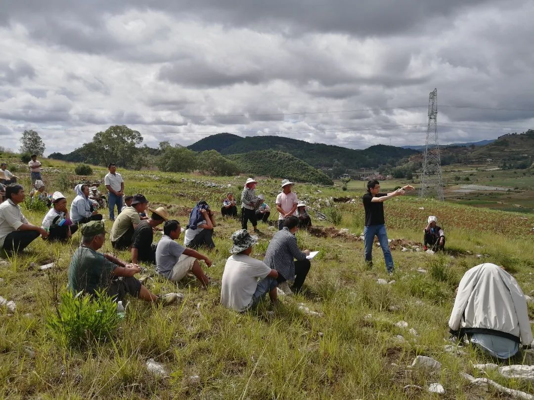 ƽ����(pinnacle)�ٷ���վ