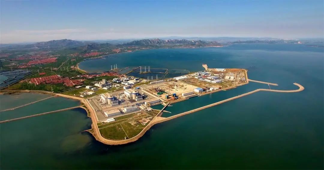 ƽ����(pinnacle)�ٷ���վ