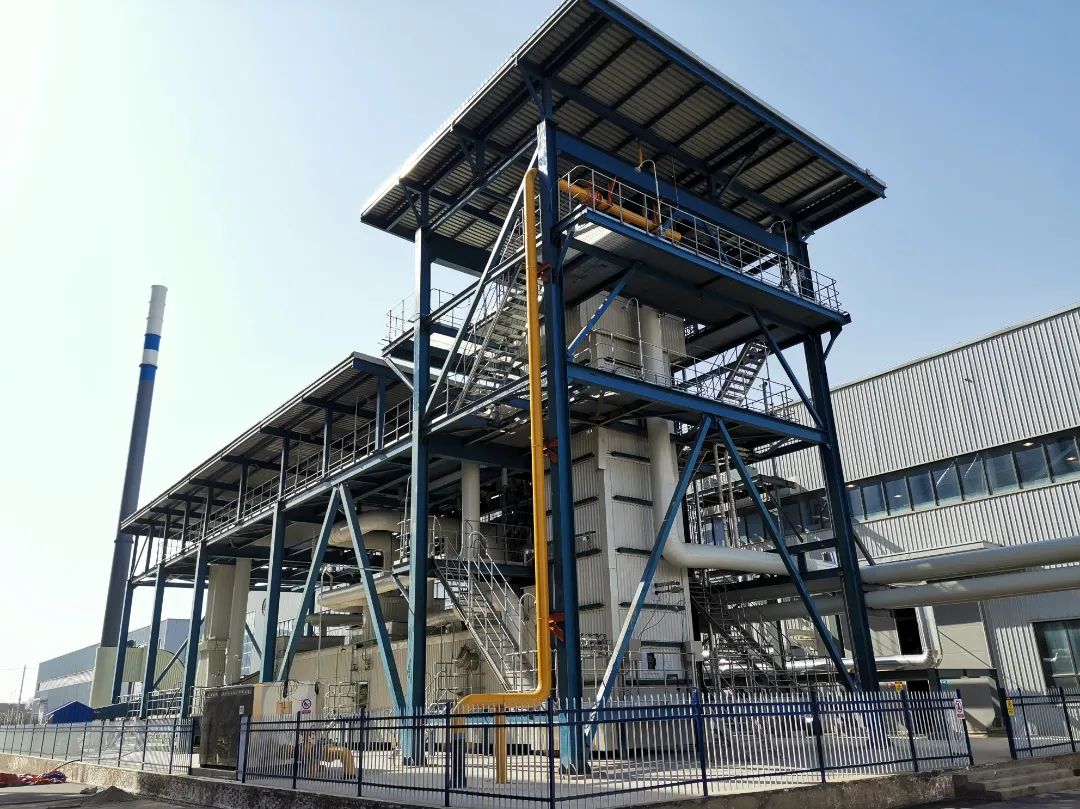 ƽ����(pinnacle)�ٷ���վ