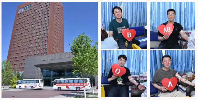 ƽ����(pinnacle)�ٷ���վ