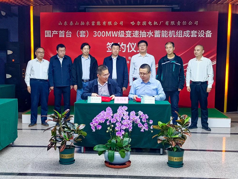 ƽ����(pinnacle)�ٷ���վ